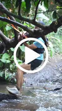 BIB:  <button type="button" onclick="openModal(27824628)" class="btn btn-primary btn-sm float-right" data-toggle="modal" data-target=".modal-high-quality">
                <i class="fa fa-download"></i> Download
                </button>